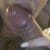 Profile picture of Wifepleasurer93