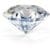 Profile picture of Jewel